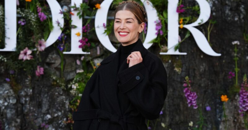 El remake de Netflix protagonizado por Rosamund Pike divide a críticos y audiencia en Rotten Tomatoes