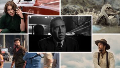 Series imprescindibles y novedades que llegan al streaming este verano