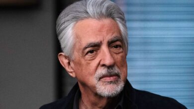Criminal Minds: Evolution redefine el papel de Voit en su temporada 19 con un giro inesperado