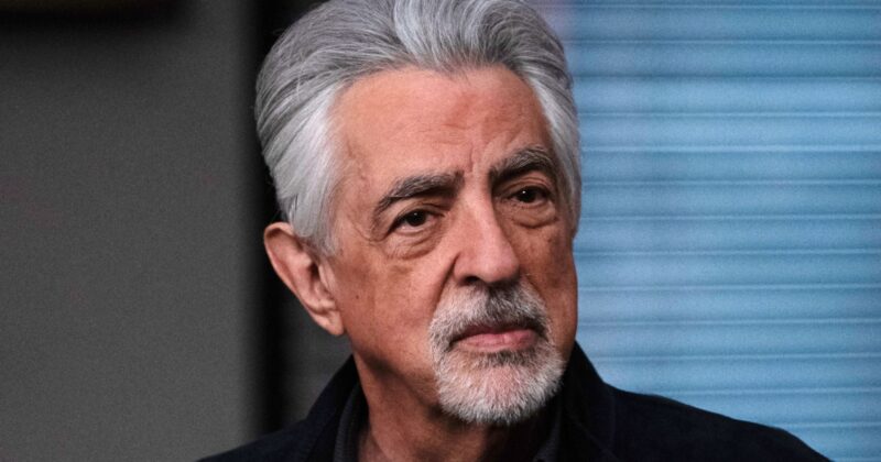 Criminal Minds: Evolution redefine el papel de Voit en su temporada 19 con un giro inesperado