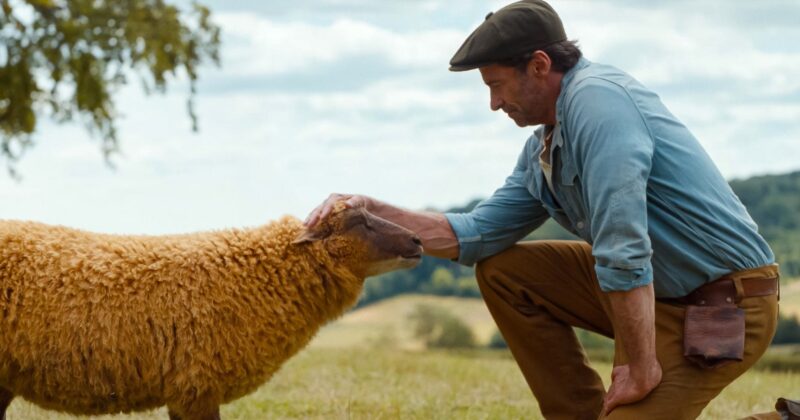 El Reparto de Voces de The Sheep Detectives: Descubre Quién Da Voz a Cada Oveja en este Fenómeno Animado