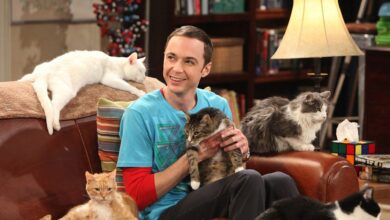 La Escena Más Divertida de Sheldon Cooper en The Big Bang Theory Sigue Siendo un Clásico de la Comedia en TV