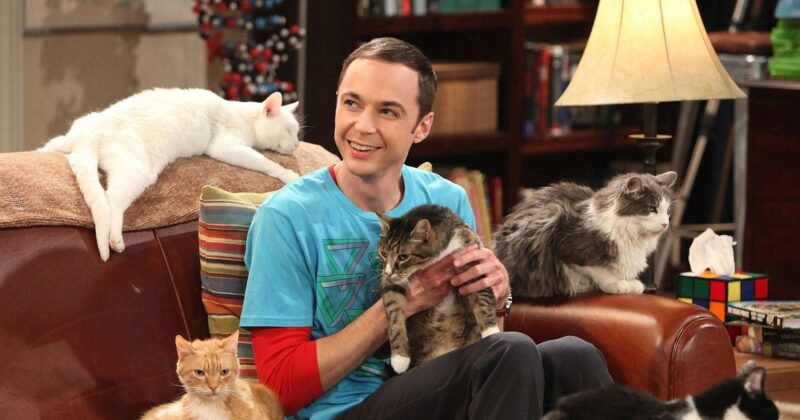 La Escena Más Divertida de Sheldon Cooper en The Big Bang Theory Sigue Siendo un Clásico de la Comedia en TV
