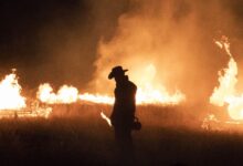 El Universo en Expansión de Taylor Sheridan: Texas se Convierte en el Centro de sus Westerns Televisivos