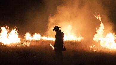 El Universo en Expansión de Taylor Sheridan: Texas se Convierte en el Centro de sus Westerns Televisivos