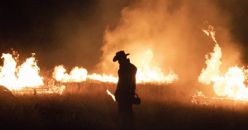 El Universo en Expansión de Taylor Sheridan: Texas se Convierte en el Centro de sus Westerns Televisivos