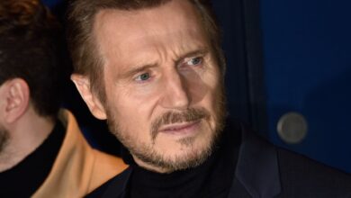 Liam Neeson Regresa al Fantástico con un Papel al Estilo Gran Gatsby en The Splendid Thing