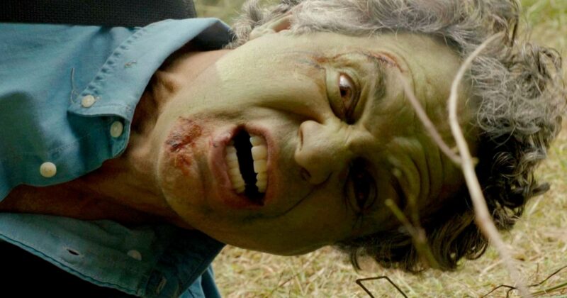 Las 12 versiones del Hulk que Bruce Banner podría explorar en el Universo Cinematográfico Marvel