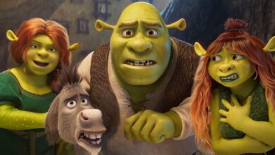 DreamWorks Debería Apostar por una Secuela de Puss in Boots Paralela a Shrek 6