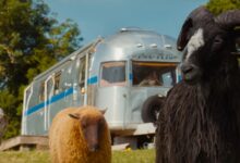 The Sheep Detectives: Una Misteriosa Comedia Familiar con Encanto y Corazón