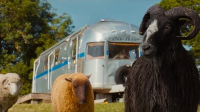 The Sheep Detectives: Una Misteriosa Comedia Familiar con Encanto y Corazón