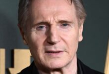 El thriller de Liam Neeson con casi nota perfecta en Rotten Tomatoes y uno de sus elencos más destacados, basado en una serie de los 80