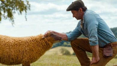 The Sheep Detectives: La comedia familiar que está conquistando críticas y pantallas