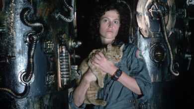10 Películas Clásicas de Terror que Redefinieron el Género y Siguen Vigentes