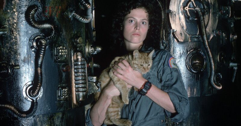 10 Películas Clásicas de Terror que Redefinieron el Género y Siguen Vigentes