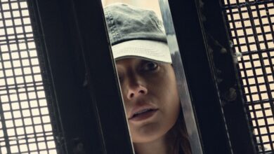 Fool Me Once: El thriller que redefinió el éxito en streaming con una trama irresistible