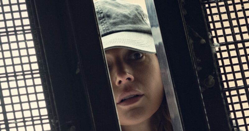 Fool Me Once: El thriller que redefinió el éxito en streaming con una trama irresistible