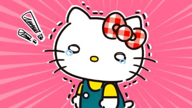El Camino Difícil de Hello Kitty: La Crisis Que Casi Borró a un Ícono de la Cultura Kawaii
