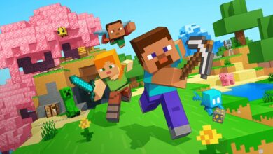 Transmisión de Minecraft interrumpida por swatting mientras una abuela recauda fondos para el tratamiento de cáncer de su nieto