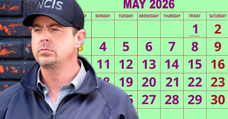 NCIS Temporada 23: Por qué no hay episodio nuevo y qué esperar para la próxima temporada