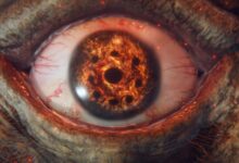 Elden Ring Lanza Exclusivos Librosoportes de Colección Este Verano