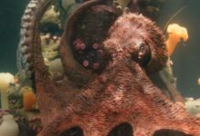 Remarkably Bright Creatures: El cambio clave en la película que mejora la historia del libro
