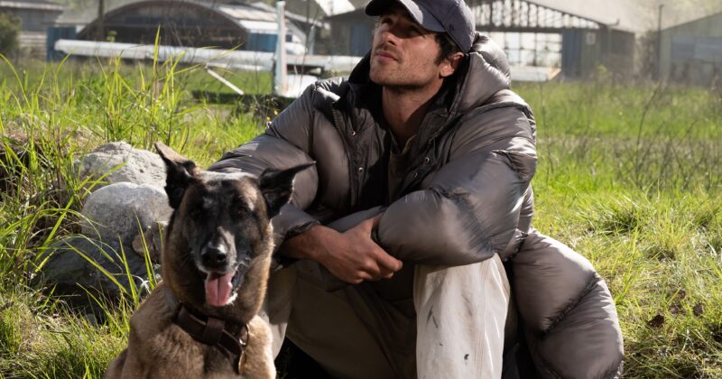 Ridley Scott Regresa con 'The Dog Stars', una Odisea Postapocalíptica que Redefine el Sci-Fi