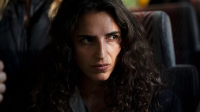 Guía de Series Netflix para Maratonear: Thriller Criminal Imprescindible con 100% en Rotten Tomatoes y Más Estrenos Destacados