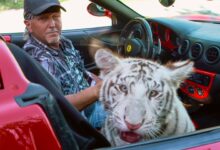10 Documentales Imperdibles en Netflix que Redefinen el Género