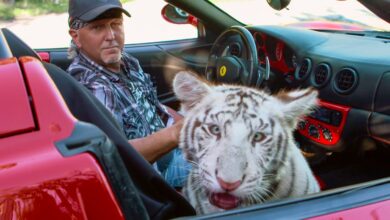 10 Documentales Imperdibles en Netflix que Redefinen el Género