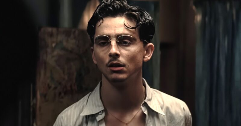 La Película R-Rated de Timothée Chalamet que Llega a Netflix y Revive sus Primeros Roles