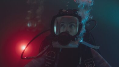 Under Paris 2: Netflix inicia la filmación de la esperada secuela del thriller de tiburones más visto