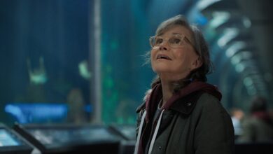 Remarkably Bright Creatures: Un drama emotivo de Netflix narrado por un pulpo increíblemente inteligente