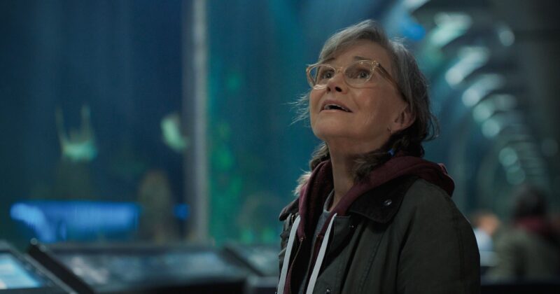 Remarkably Bright Creatures: Un drama emotivo de Netflix narrado por un pulpo increíblemente inteligente