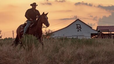 Dutton Ranch: La Triste Realidad que Yellowstone Nunca Negó