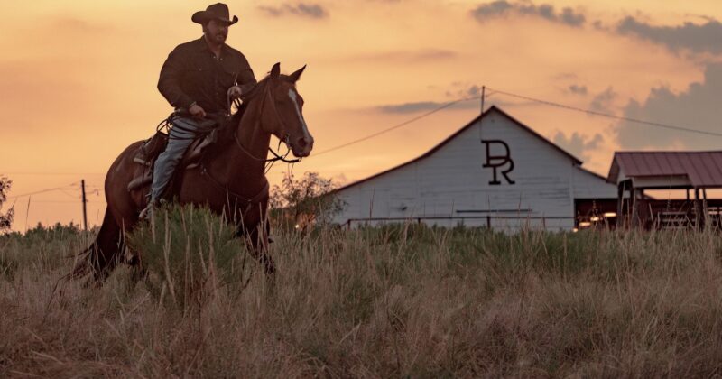 Dutton Ranch: La Triste Realidad que Yellowstone Nunca Negó