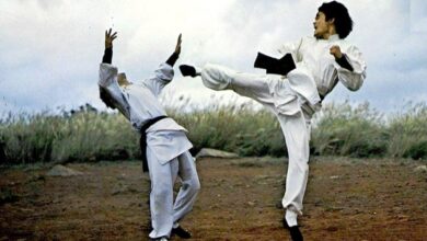 Descubre la Trilogía Secreta de Artes Marciales que Puedes Disfrutar Gratis este Fin de Semana