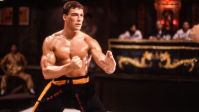 How Netflix's Cobra Kai Revolutionized the Martial Arts Genre for a New Generation