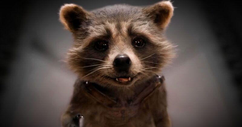 Rocket Raccoon tendrá su propia miniserie que explora su vida antes de Guardianes de la Galaxia