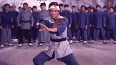 Duologías de Artes Marciales Imprescindibles Que Quizás No Conocías