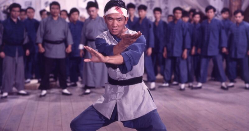 Duologías de Artes Marciales Imprescindibles Que Quizás No Conocías