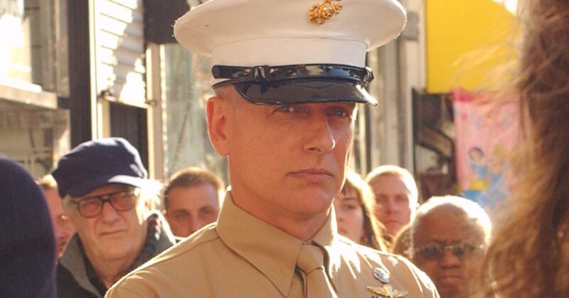 El Regreso de Harmon Rabb: El Reemplazo Ideal para Leon Vance en NCIS
