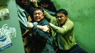 The Furious: El thriller de acción que destrona a The Raid en Rotten Tomatoes después de 15 años