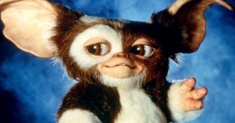 Por qué la franquicia Gremlins nunca tendrá un reboot y el futuro de su tercera película
