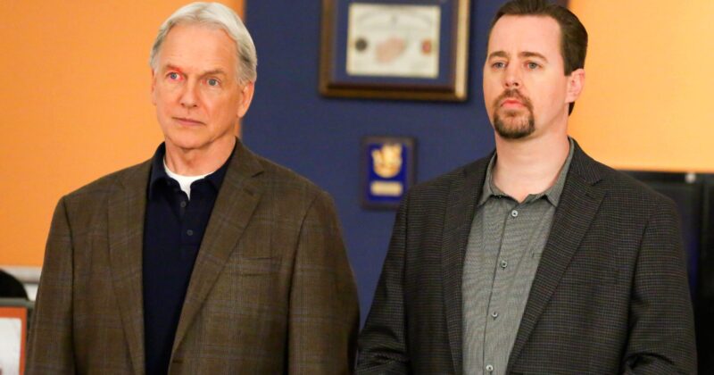 Sean Murray Revela el Verdadero Desafío de Suplir a Mark Harmon como Gibbs en NCIS