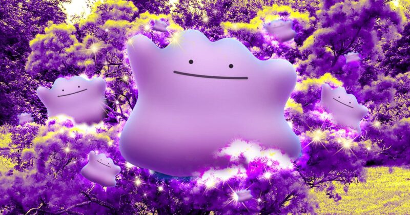 Descubre Todas las Apariencias de Ditto en Pokémon GO y Cómo Capturarlo en 2026