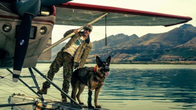 Brad Pitt Enfrenta Lobos y la Naturaleza Salvaje en el Primer Trailer de Heart of the Beast