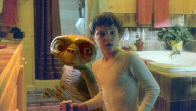 Steven Spielberg revela si Elliot y E.T. se reencontraron y explica el destino del alienígena en el canon oficial