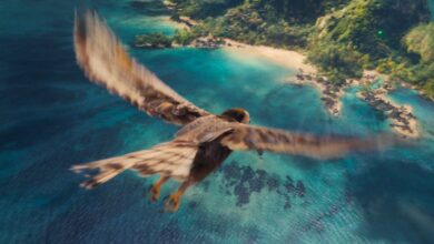 Moana Live-Action: Disney Revoluciona Su Estrategia de Remakes con el Lanzamiento Más Rápido de Su Historia