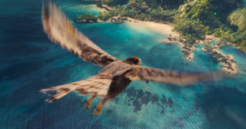 Moana Live-Action: Disney Revoluciona Su Estrategia de Remakes con el Lanzamiento Más Rápido de Su Historia